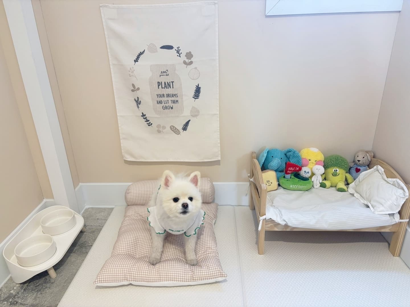 멍그니엘 서울강동점 시설 10