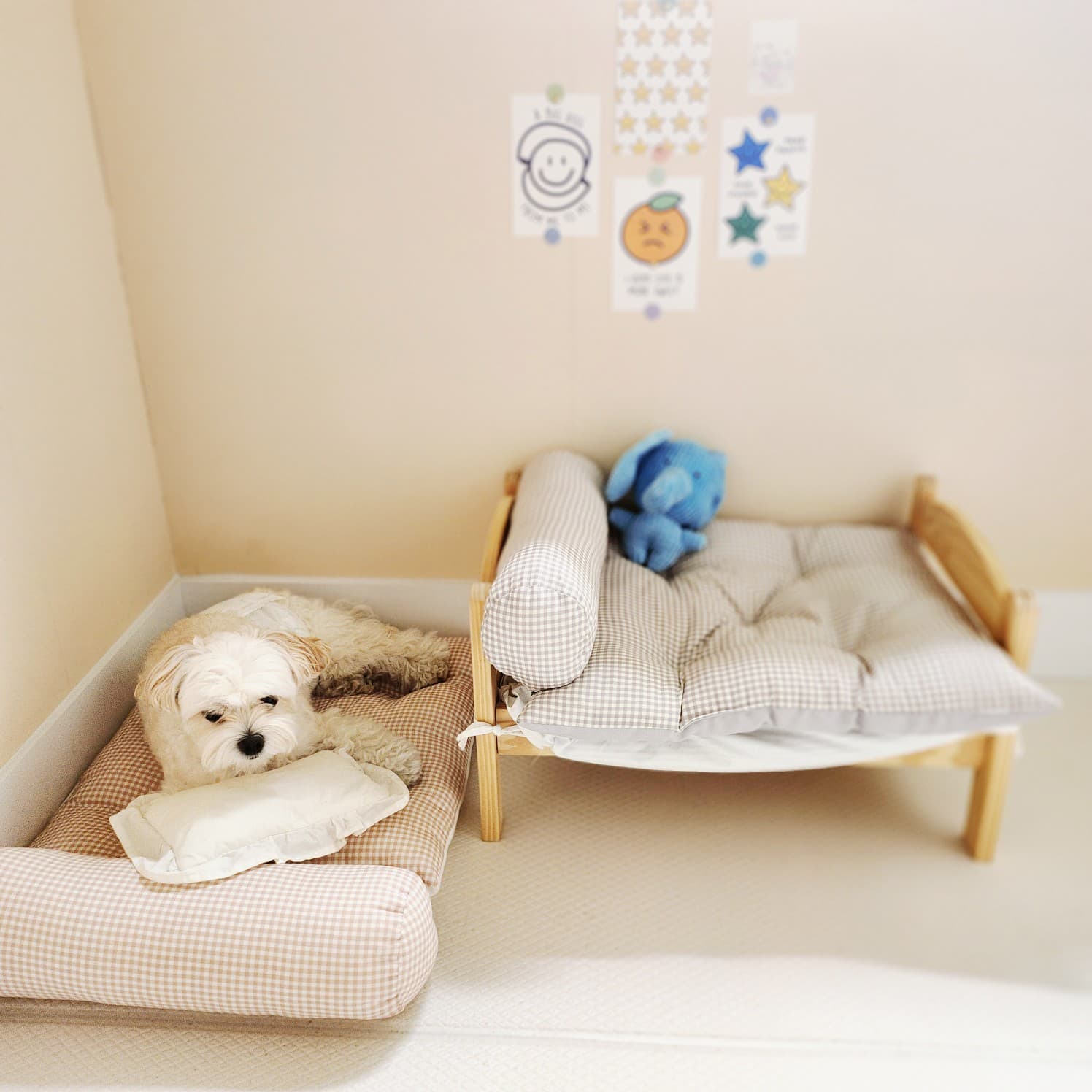 멍그니엘 서울강동점 시설 11