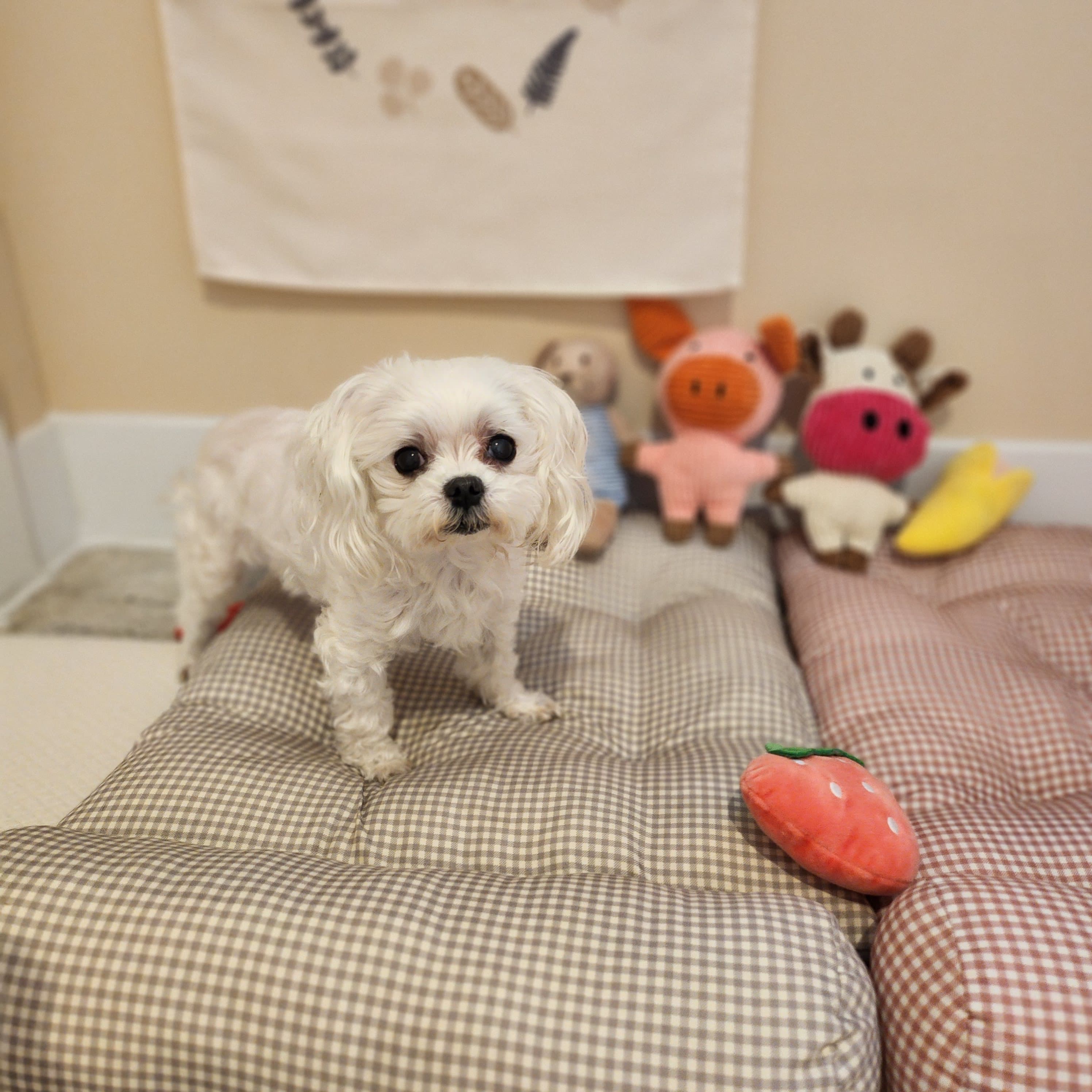 멍그니엘 서울강동점 시설 14