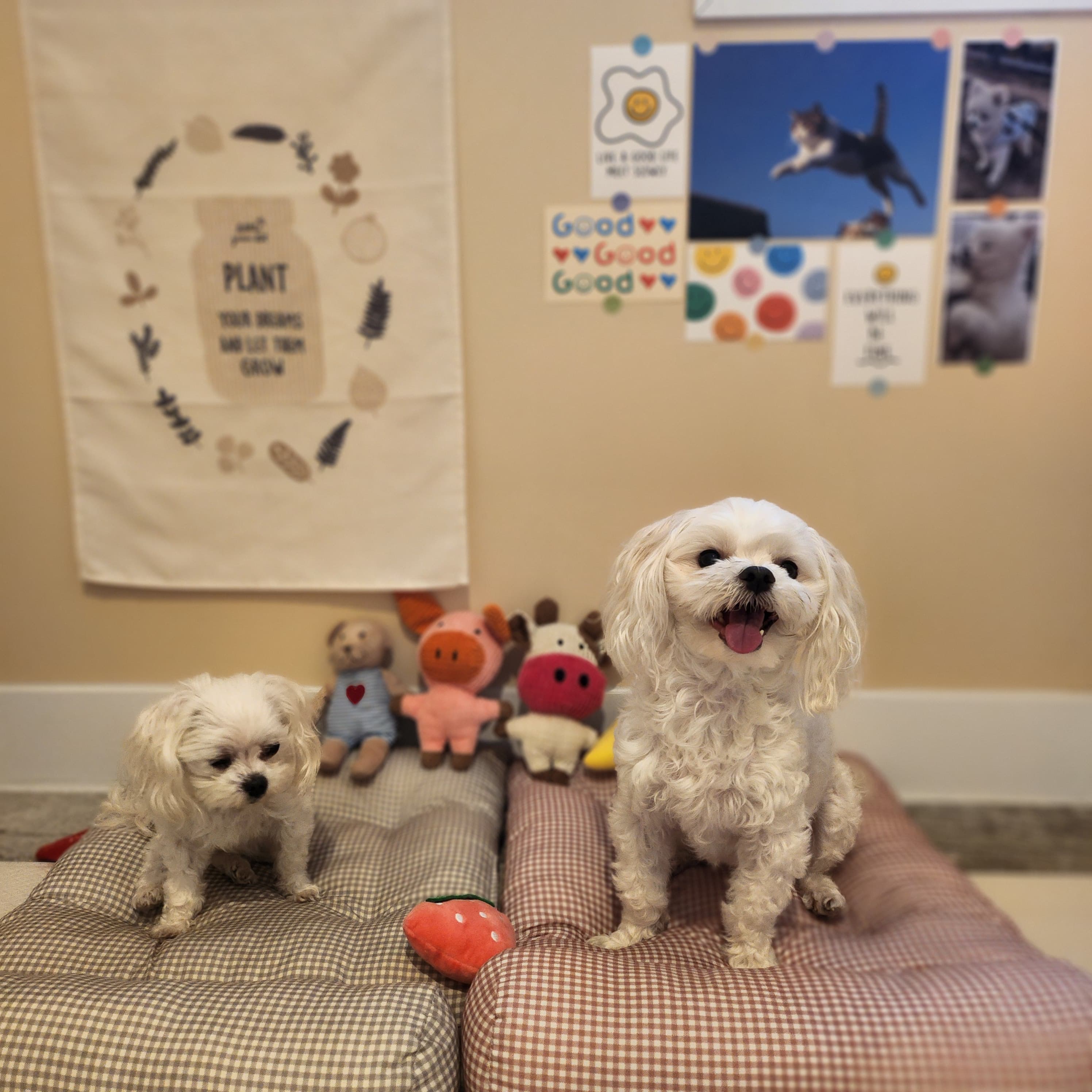 멍그니엘 서울강동점 시설 15