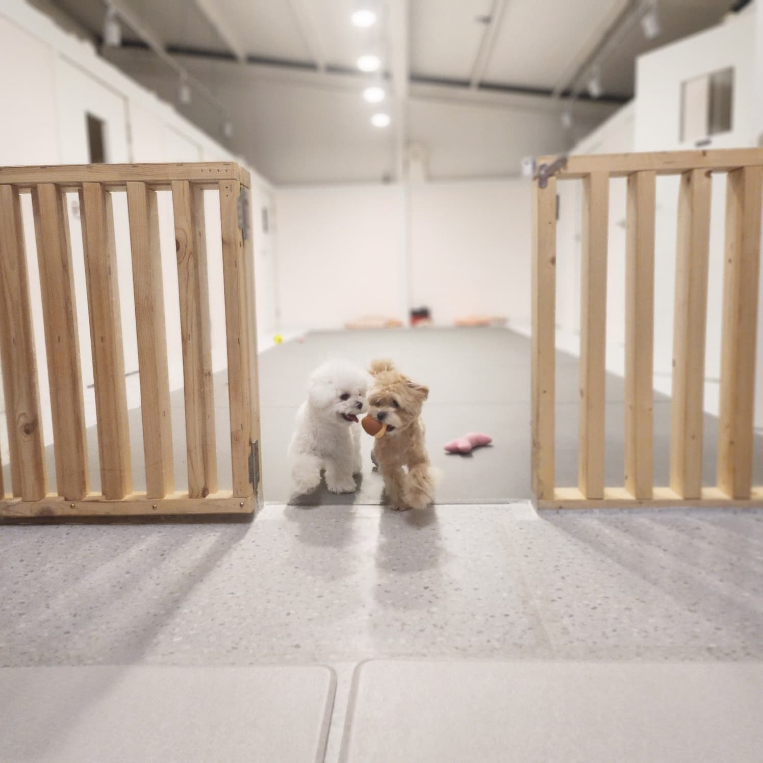 멍그니엘 서울강동점 시설 6