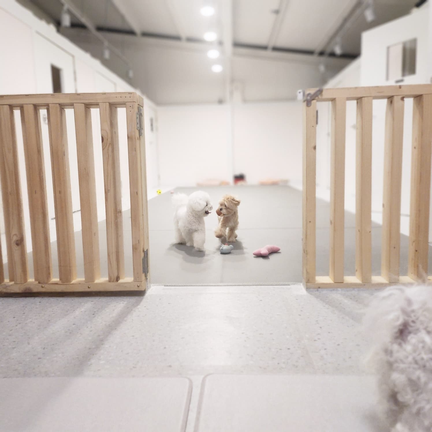 멍그니엘 서울강동점 시설 7