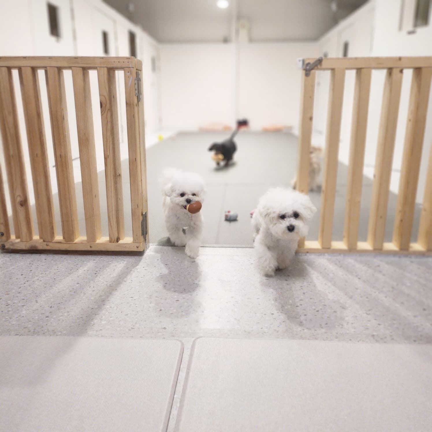 멍그니엘 서울강동점 시설 8