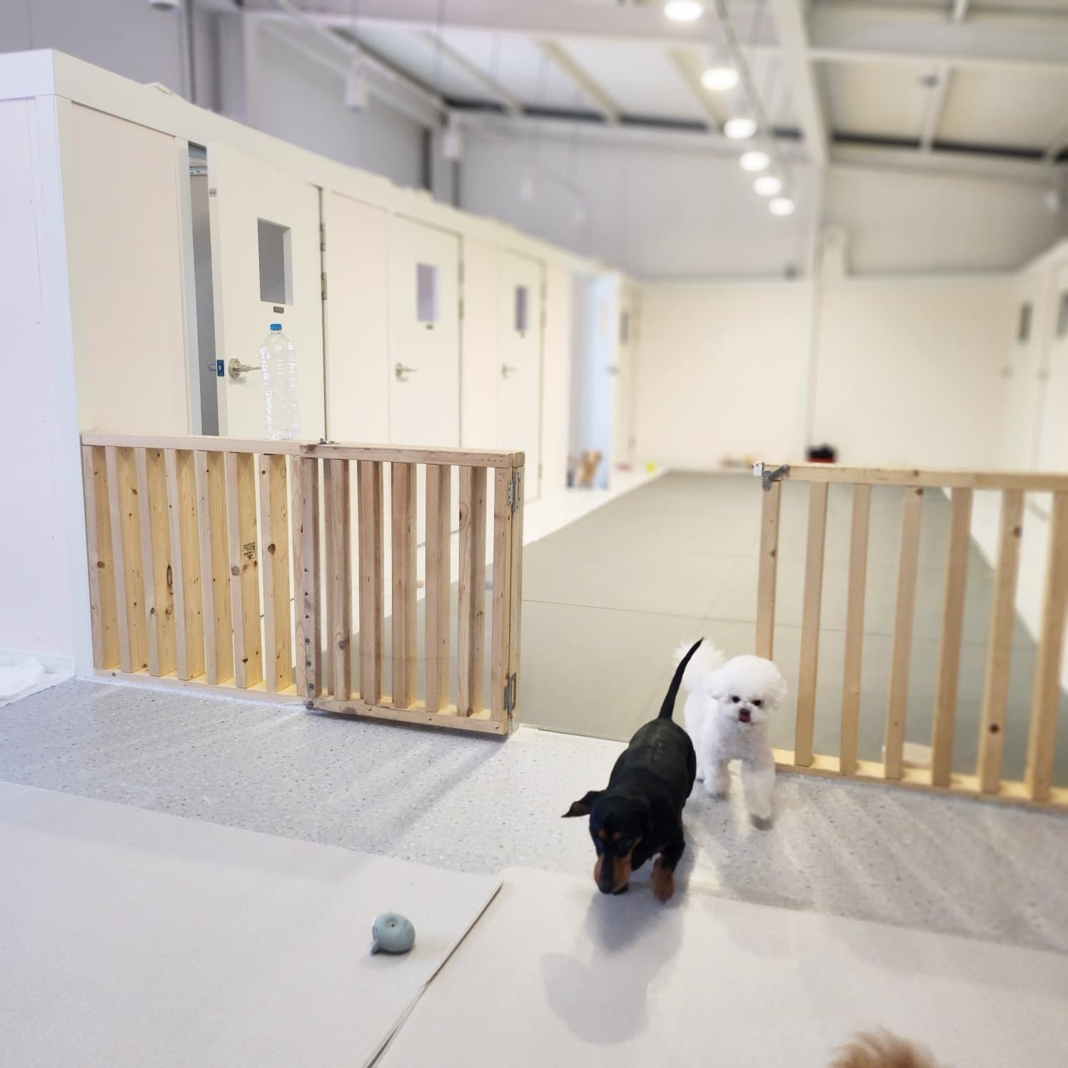 멍그니엘 서울강동점 시설 9