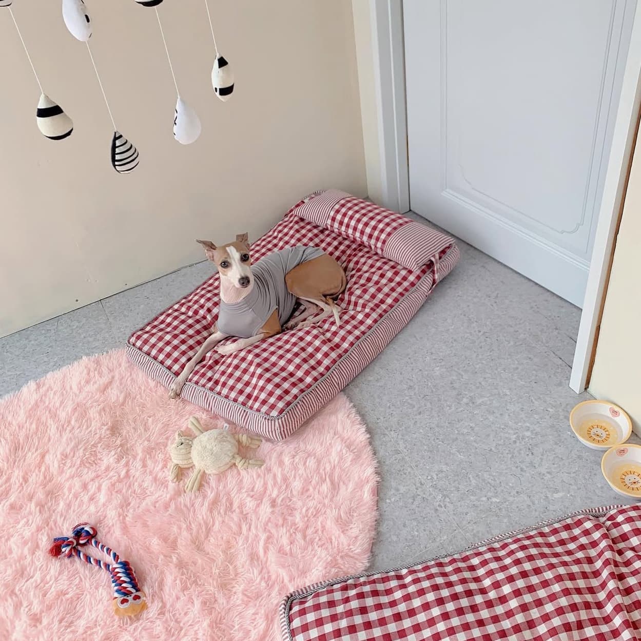 멍그니엘 기흥동탄점