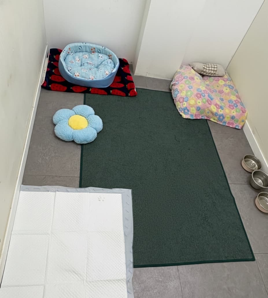 멍그니엘 경기광주점 시설 10