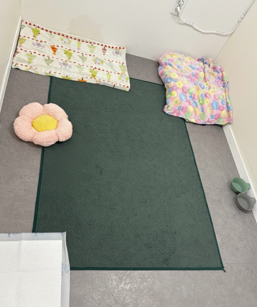 멍그니엘 경기광주점 시설 2