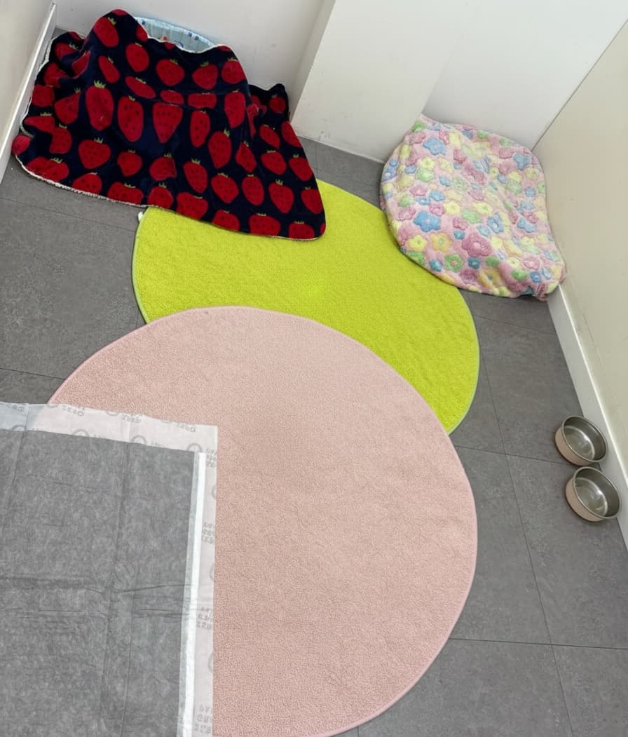 멍그니엘 경기광주점 시설 5