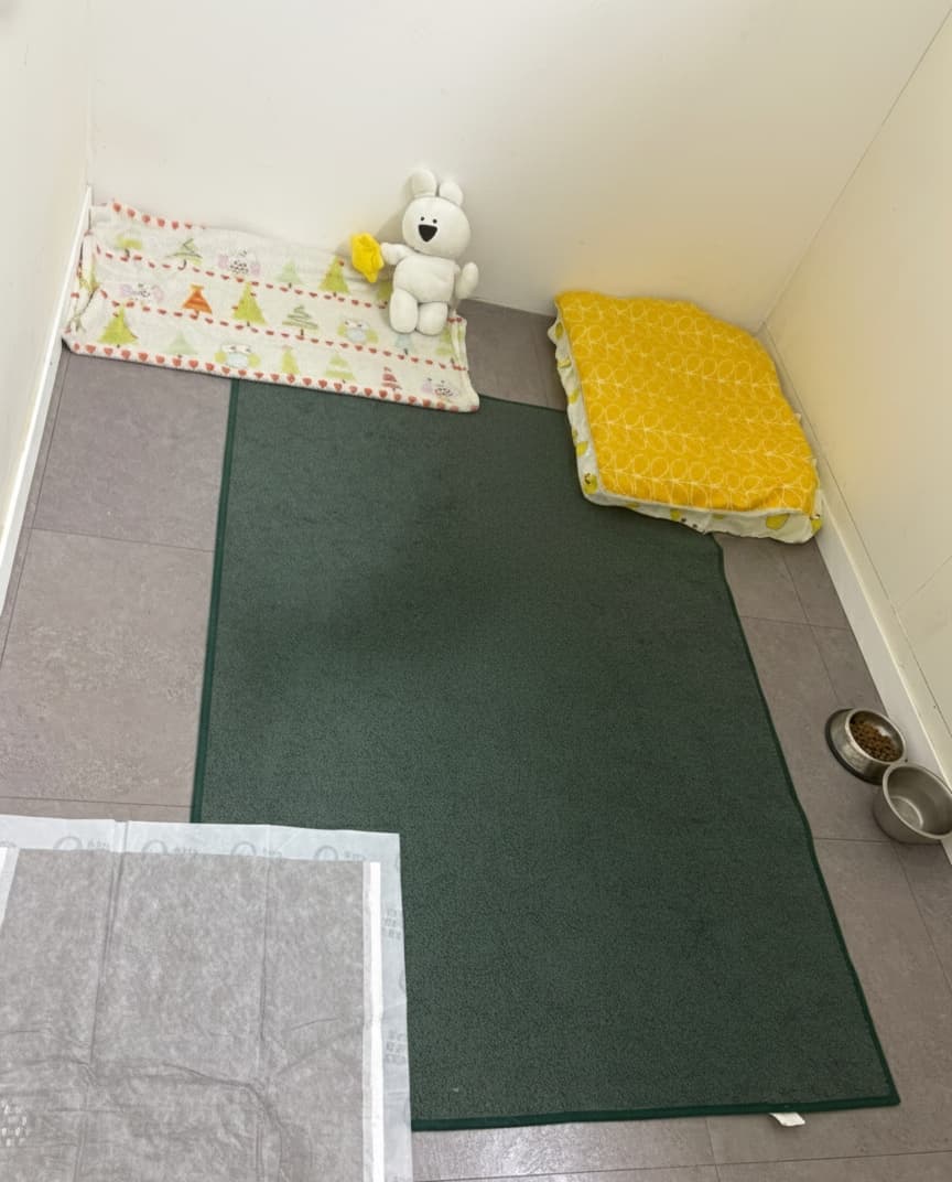 멍그니엘 경기광주점 시설 6