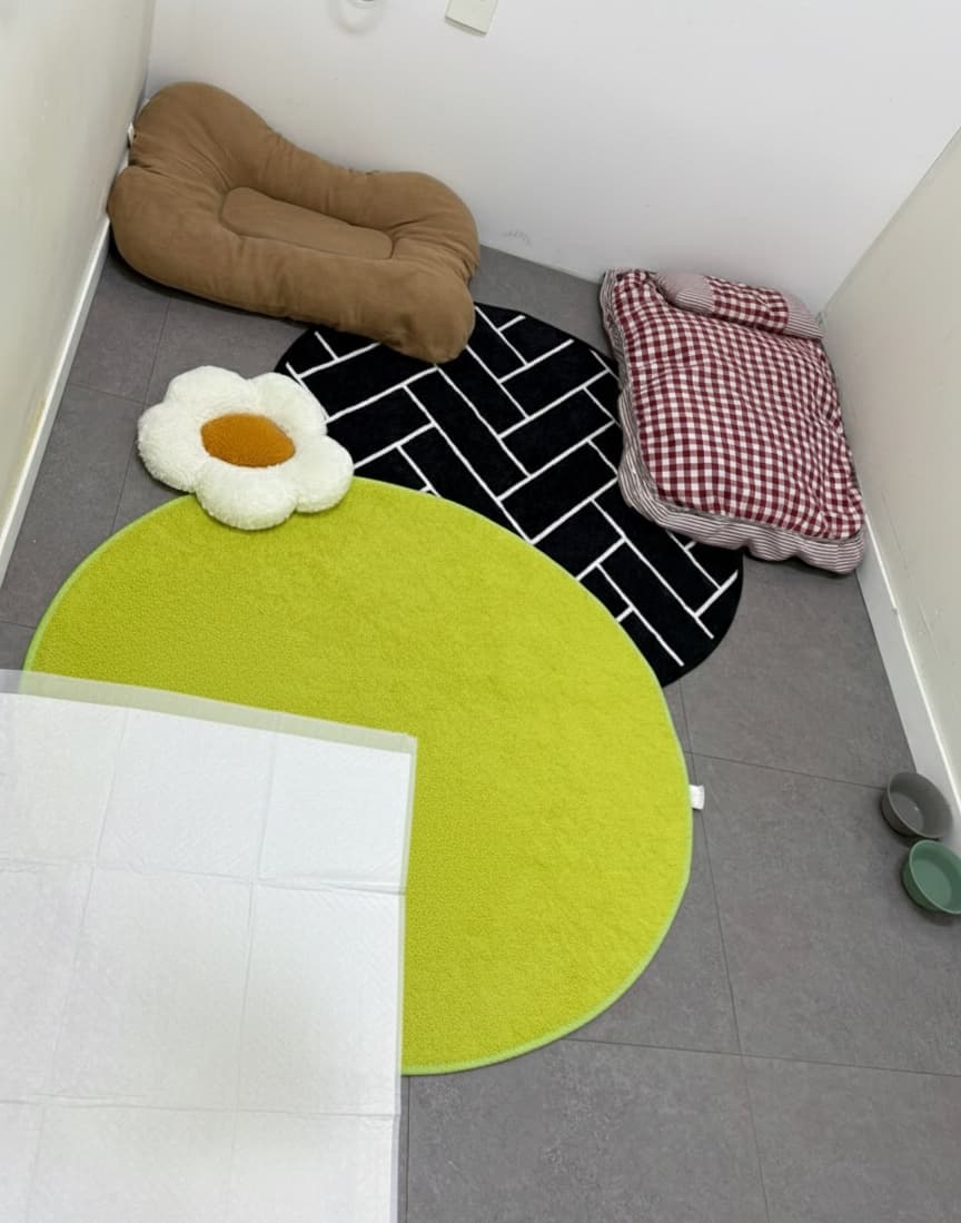 멍그니엘 경기광주점 시설 7