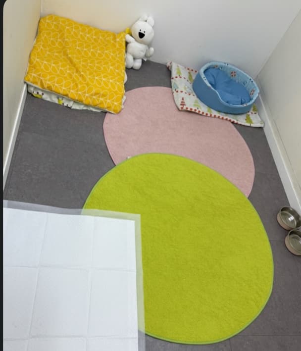 멍그니엘 경기광주점 시설 8