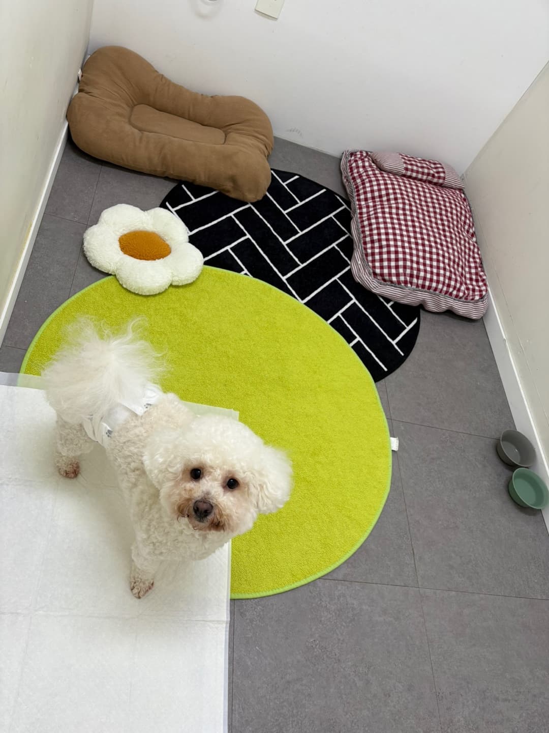 멍그니엘 경기광주점 시설 9