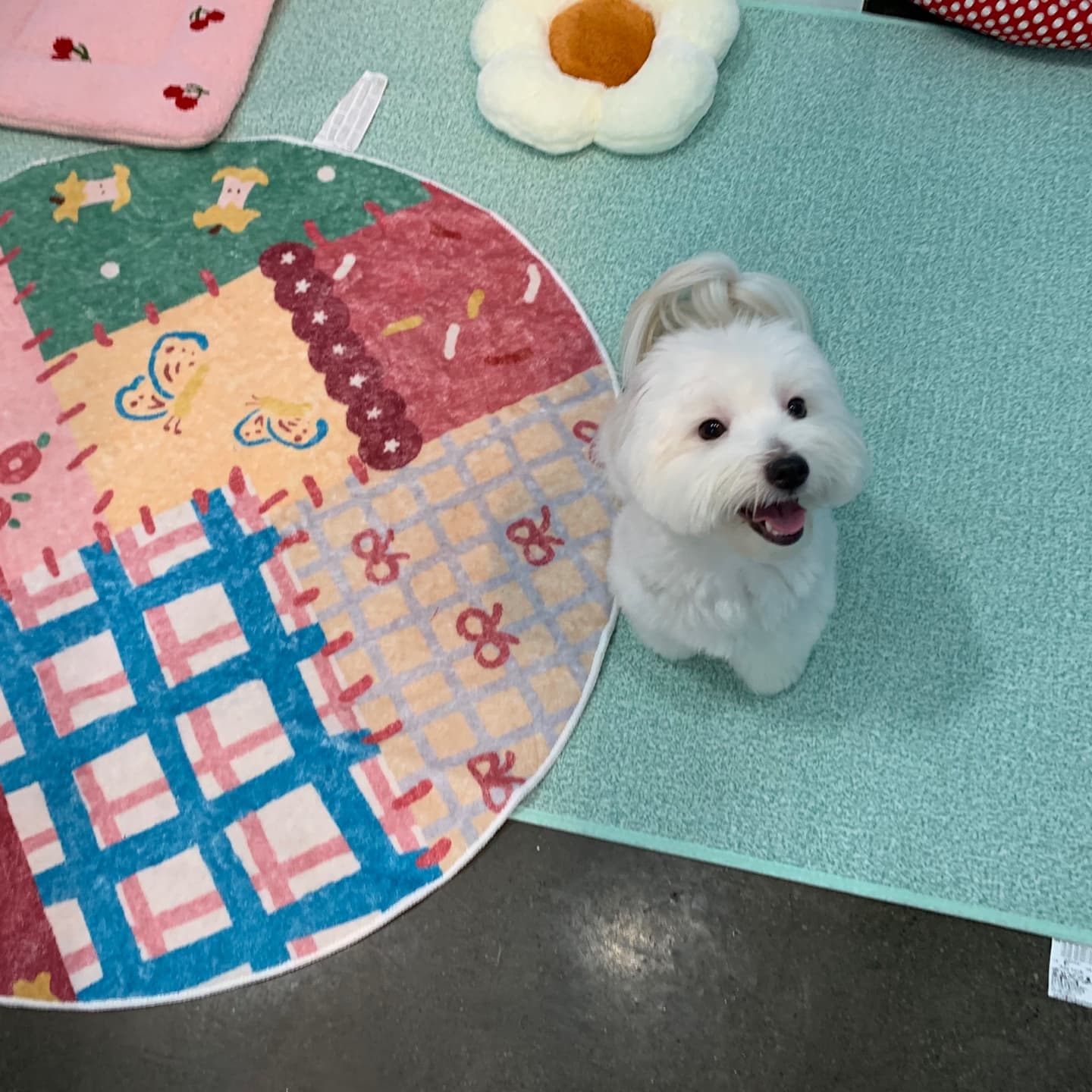 멍그니엘 수원본점