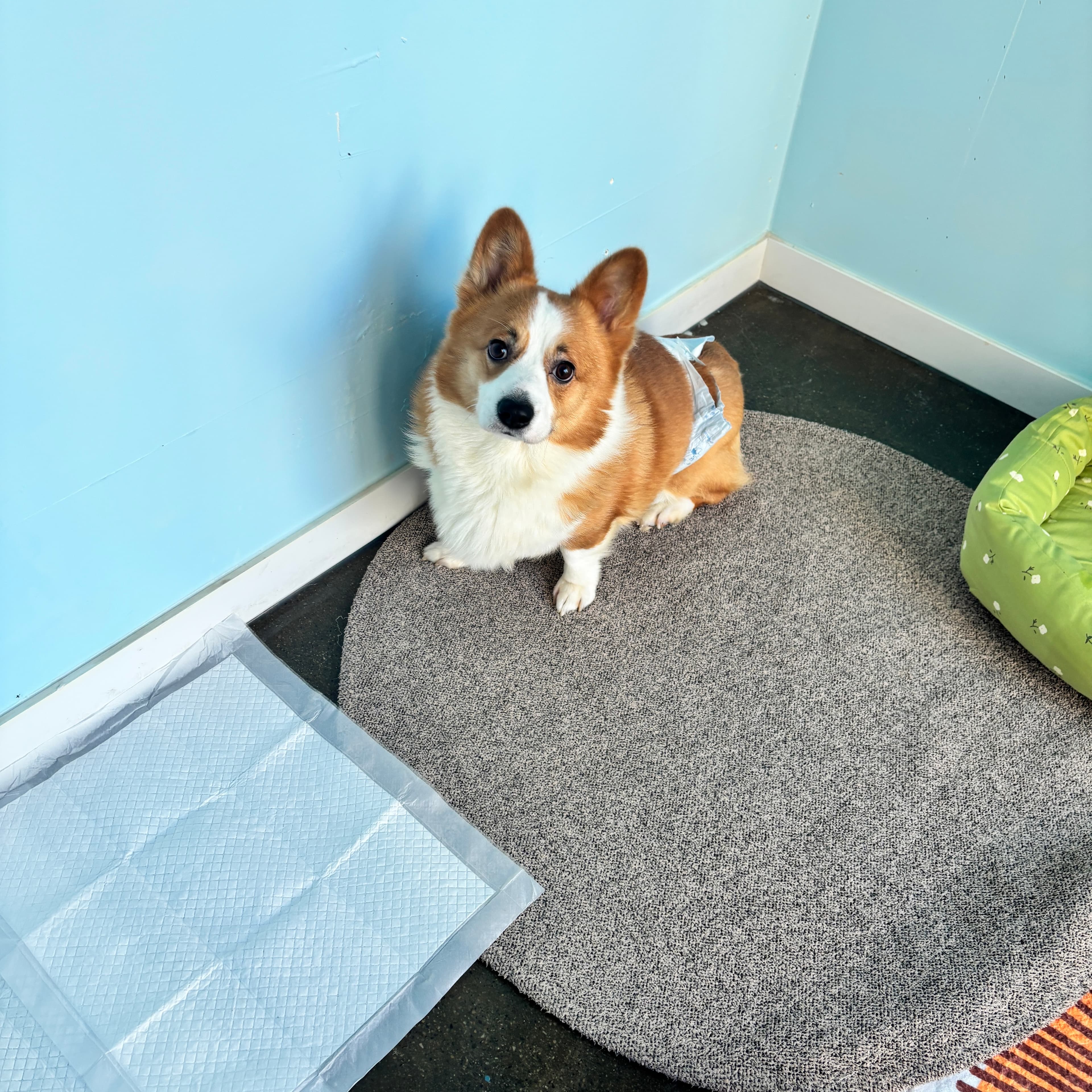 멍그니엘 수원본점 시설 11