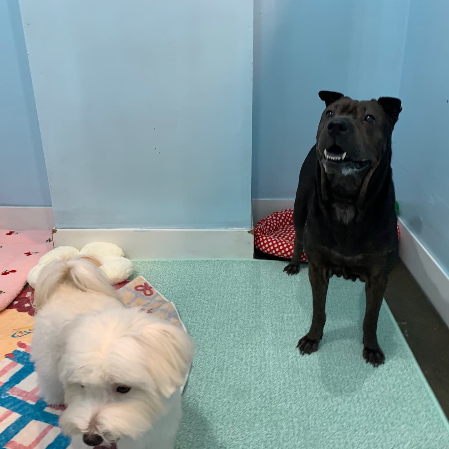 멍그니엘 수원본점 시설 4