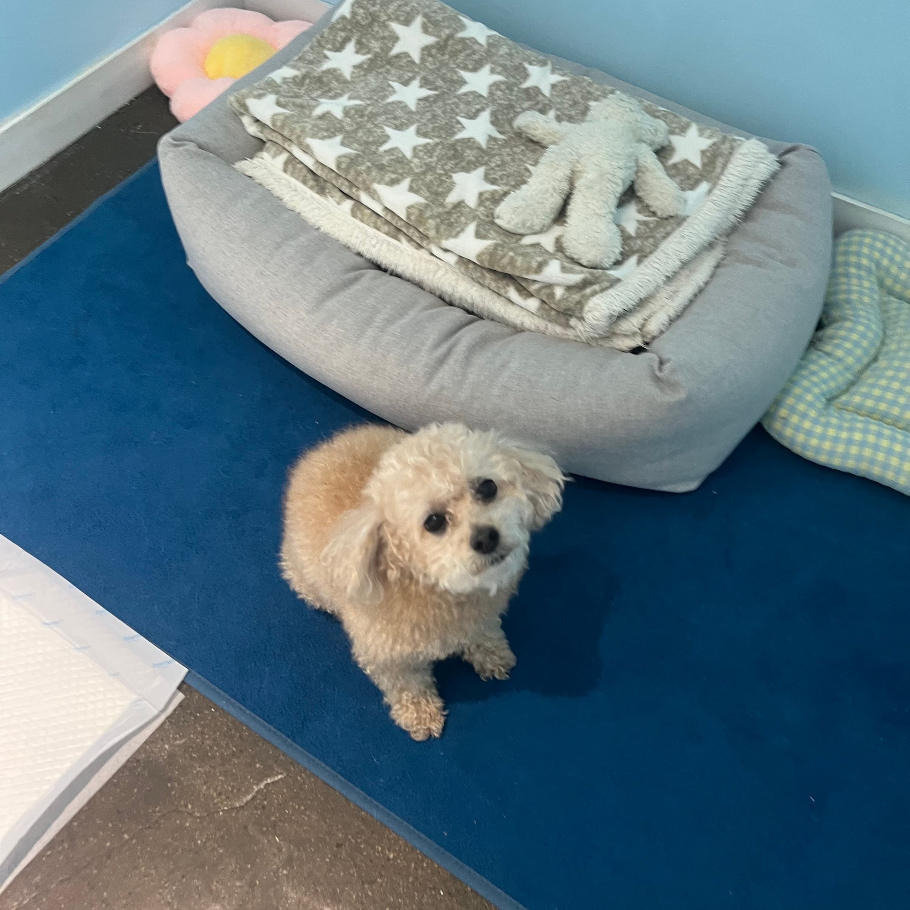 멍그니엘 수원본점 시설 8