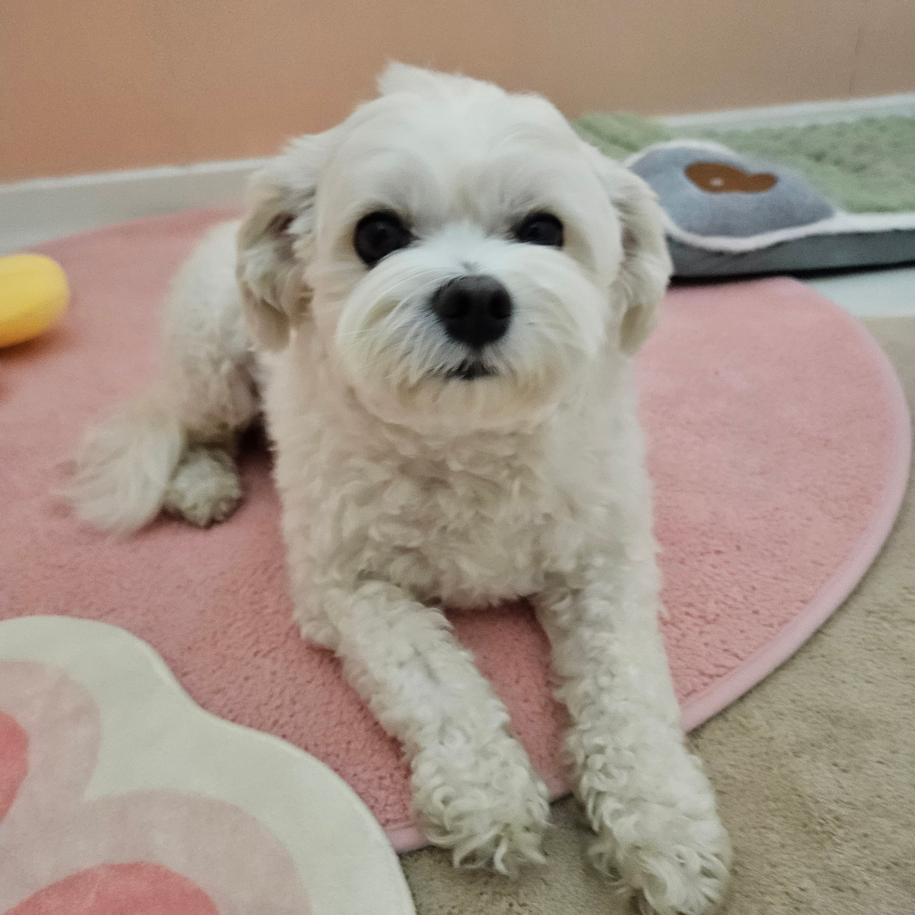 신라멍스 오산점 시설 2