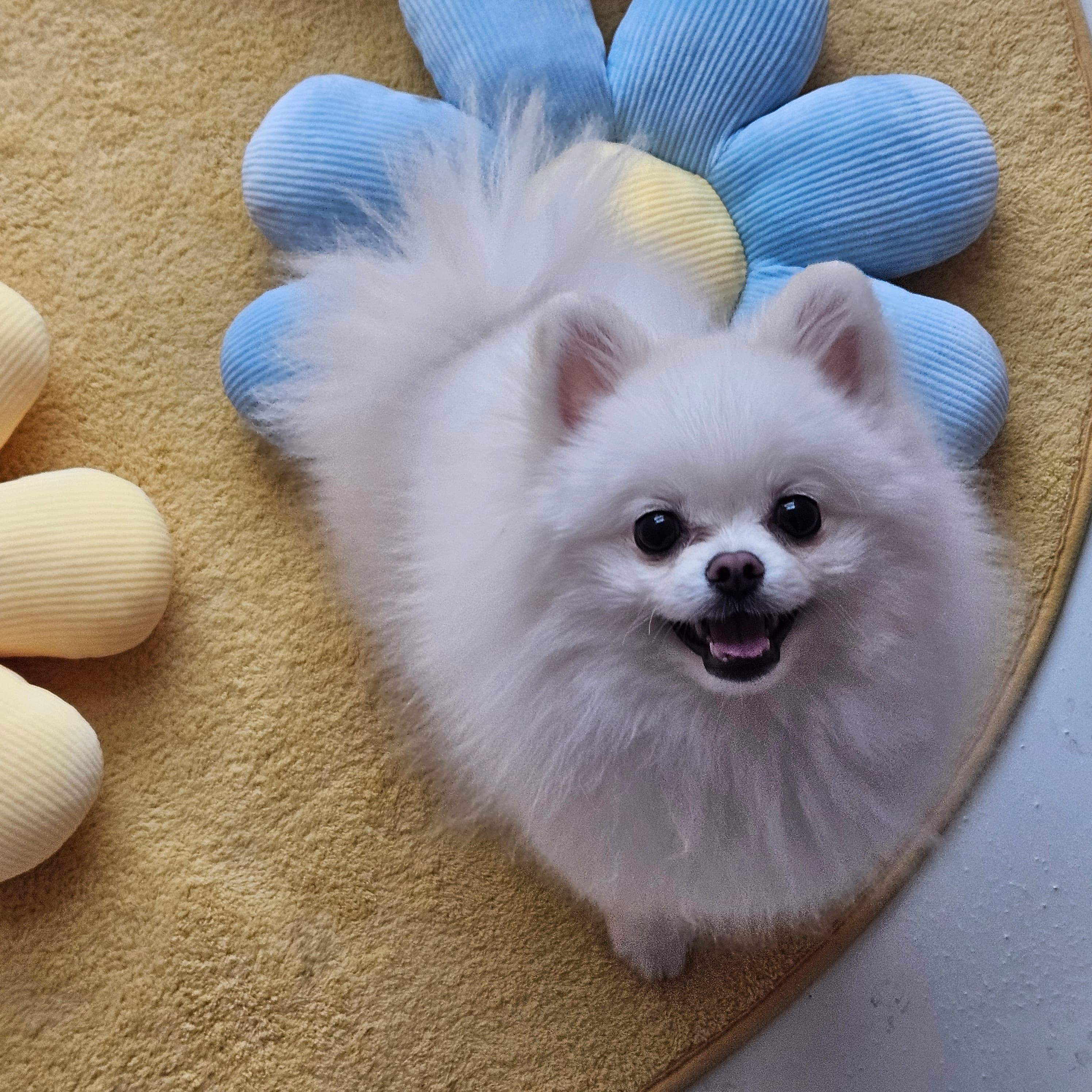 신라멍스 오산점 시설 4