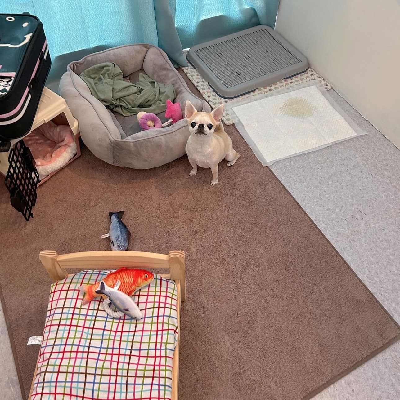 멍그니엘 기흥동탄점 시설 2