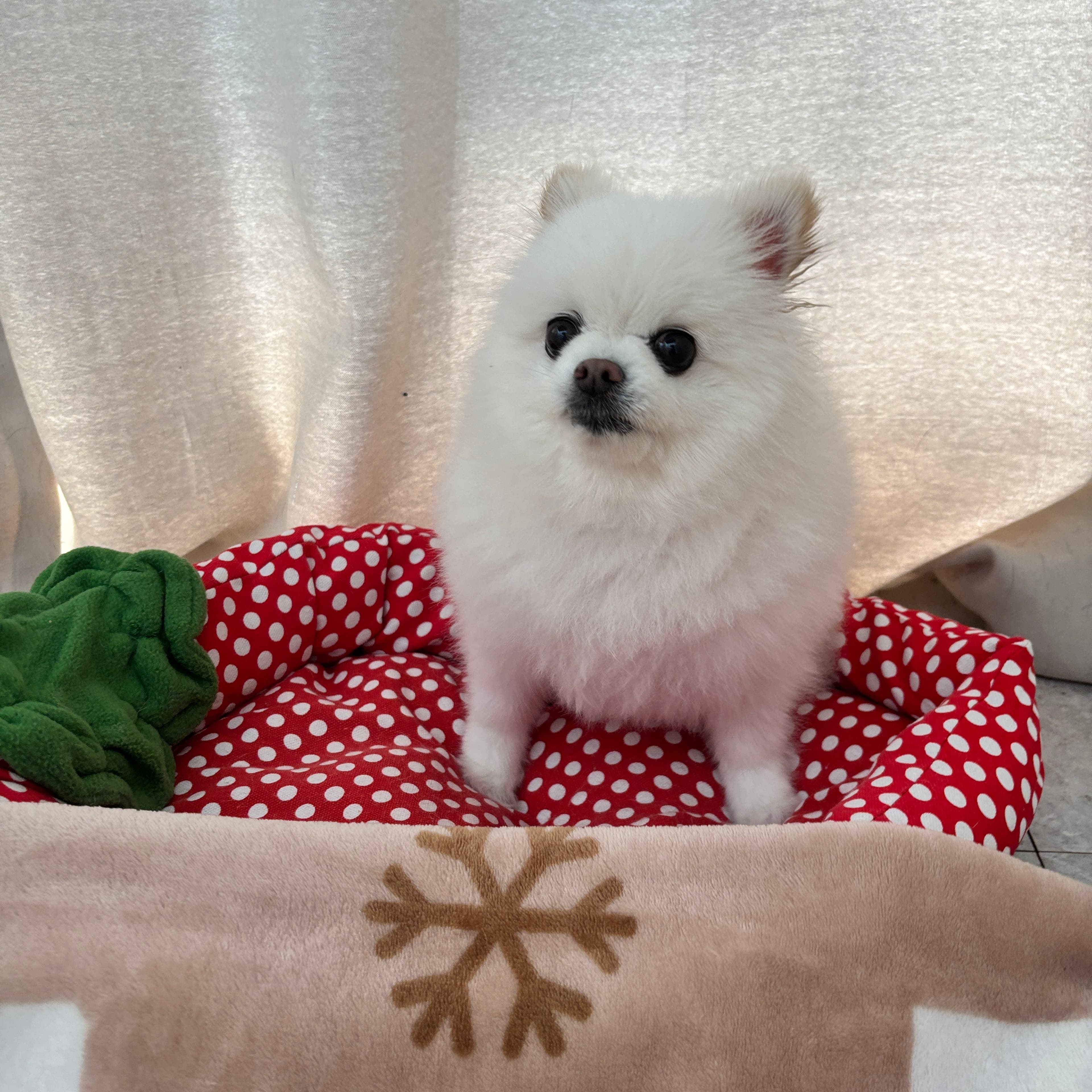 멍그니엘 기흥동탄점 시설 7