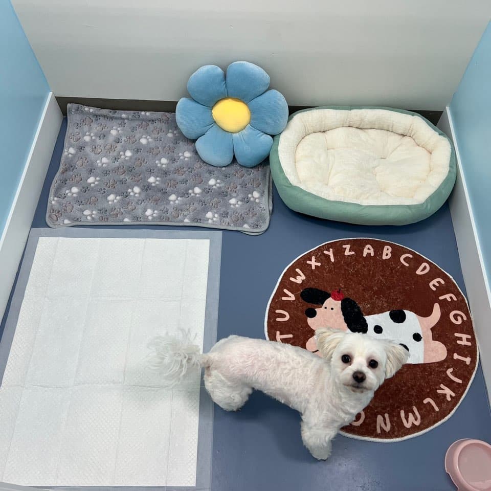 멍그니엘 시흥배곧점 시설 3