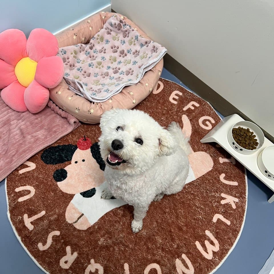 멍그니엘 시흥배곧점 시설 5