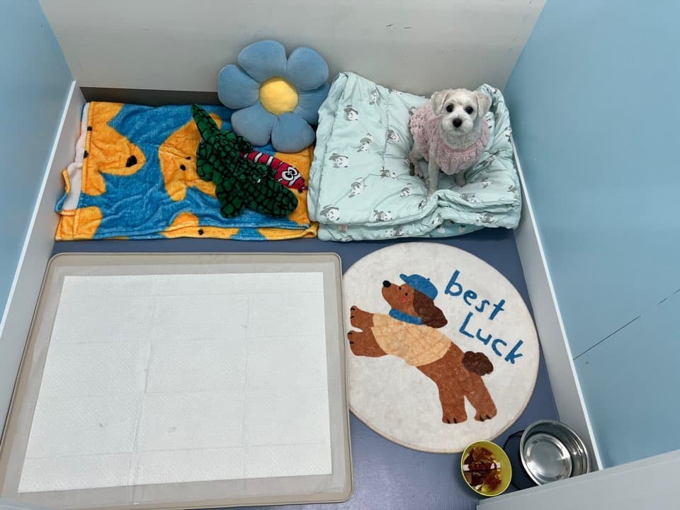 멍그니엘 시흥배곧점 시설 6