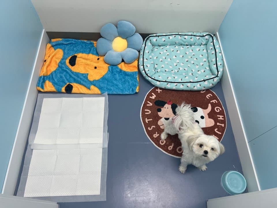 멍그니엘 시흥배곧점 시설 9